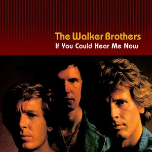 If you could hear me now